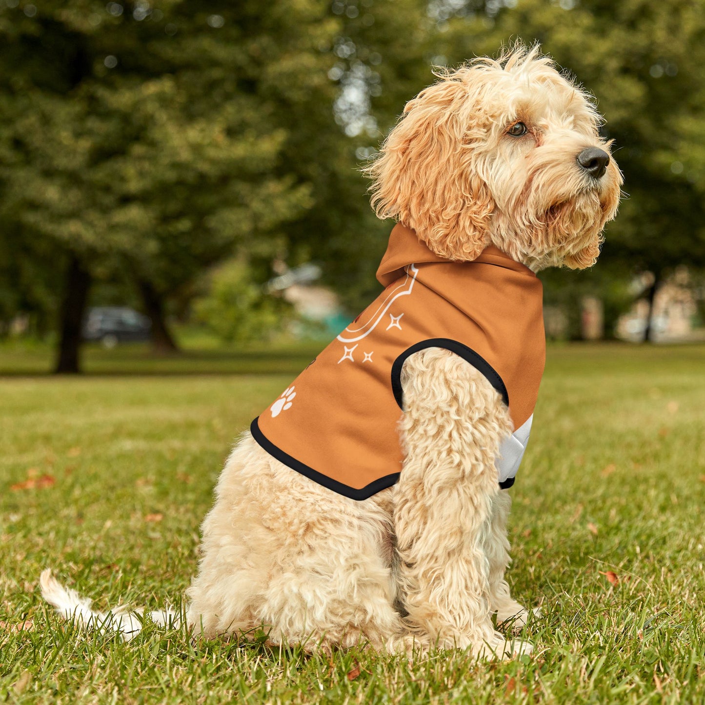 Golden Doodle wearing an orange custom pet hoodie with a dog breed and name