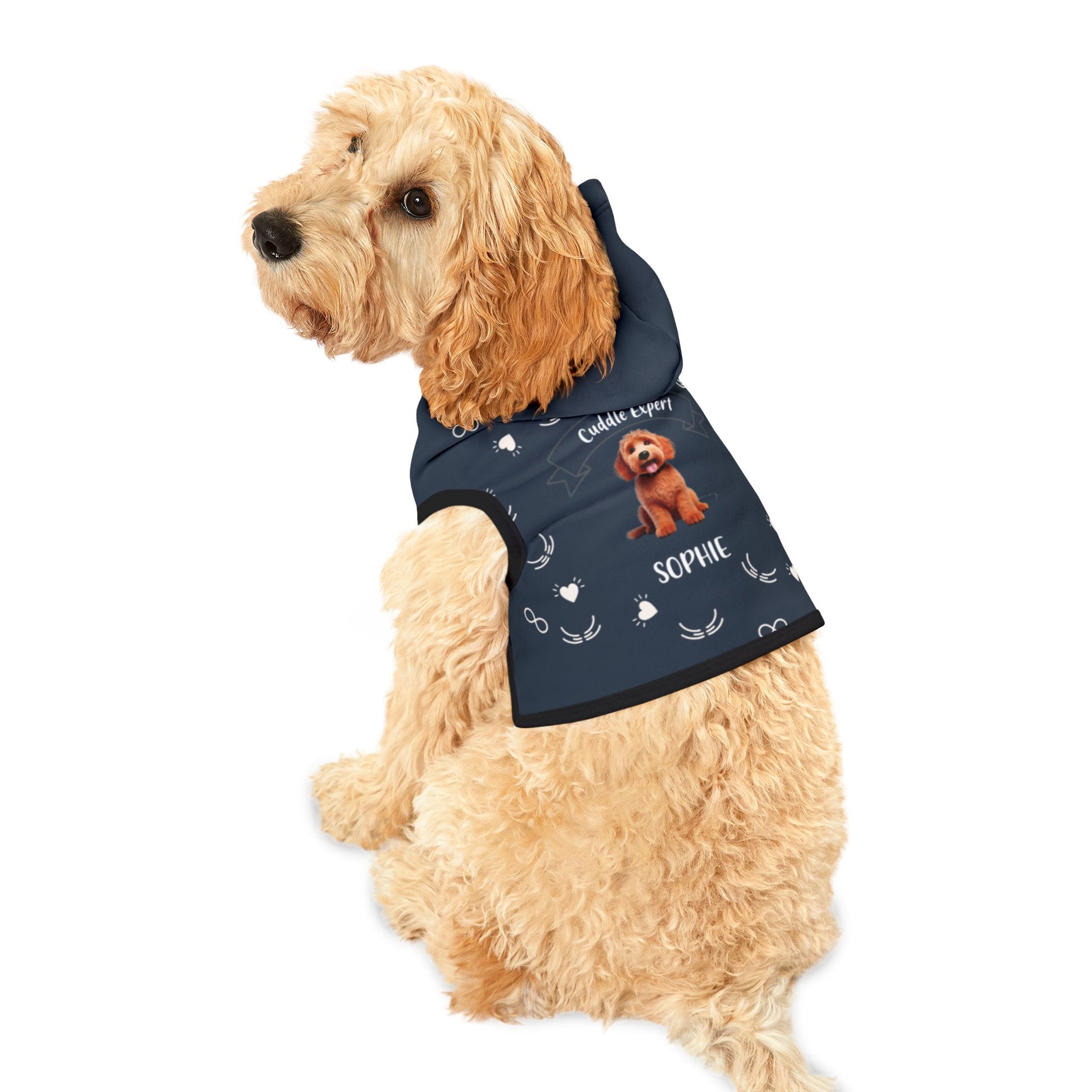 Dog wearing a navy blue jacket with a personalized design on a white background