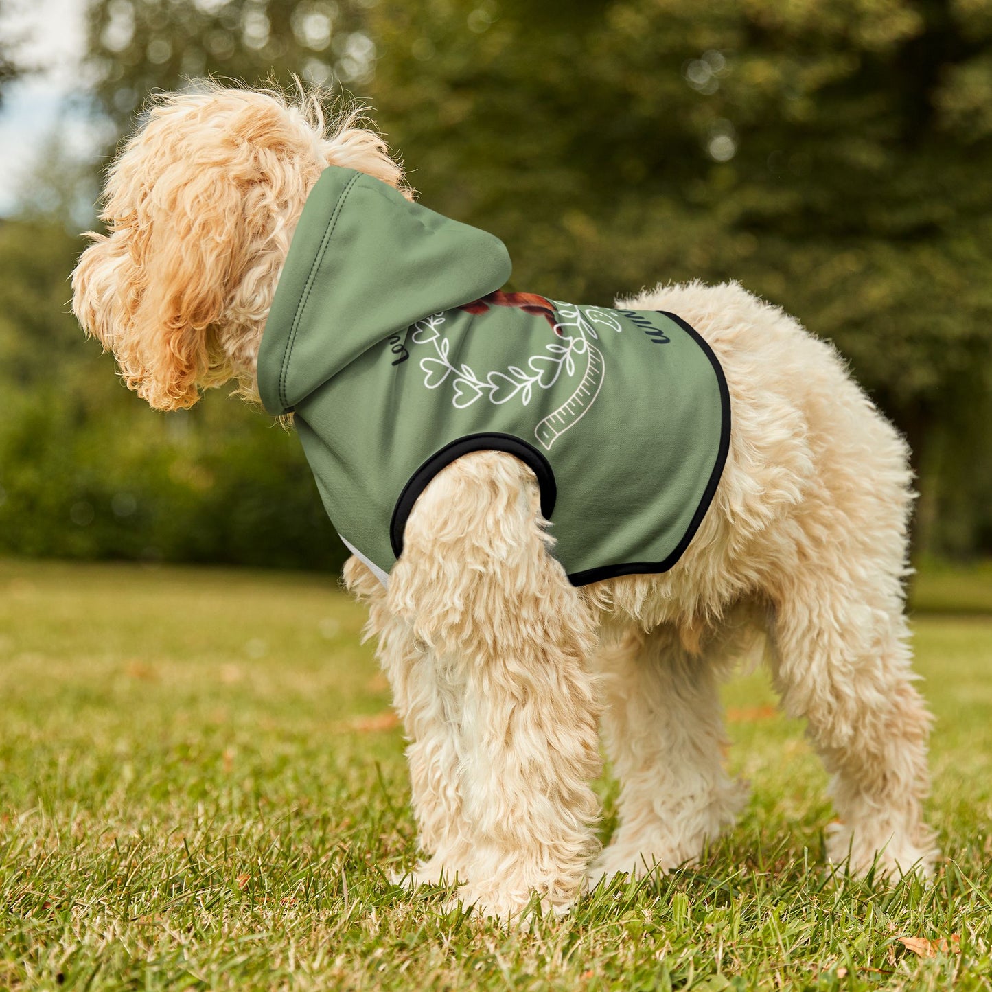 “Loved Beyond Measure” Personalized Dog Hoodie