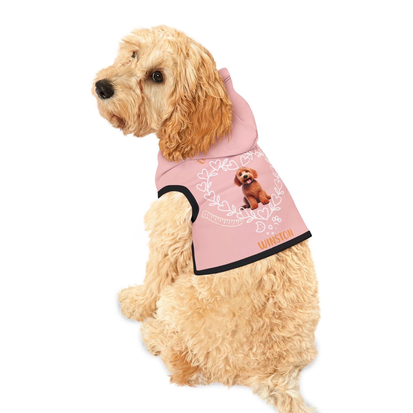 “Loved Beyond Measure” Personalized Dog Hoodie