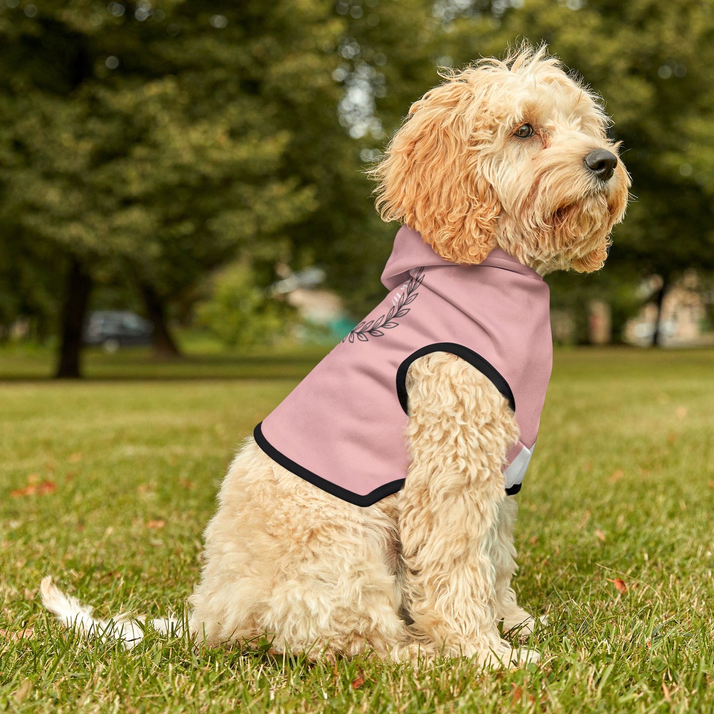 “Spoiled But Worth It” Personalized Dog Hoodie