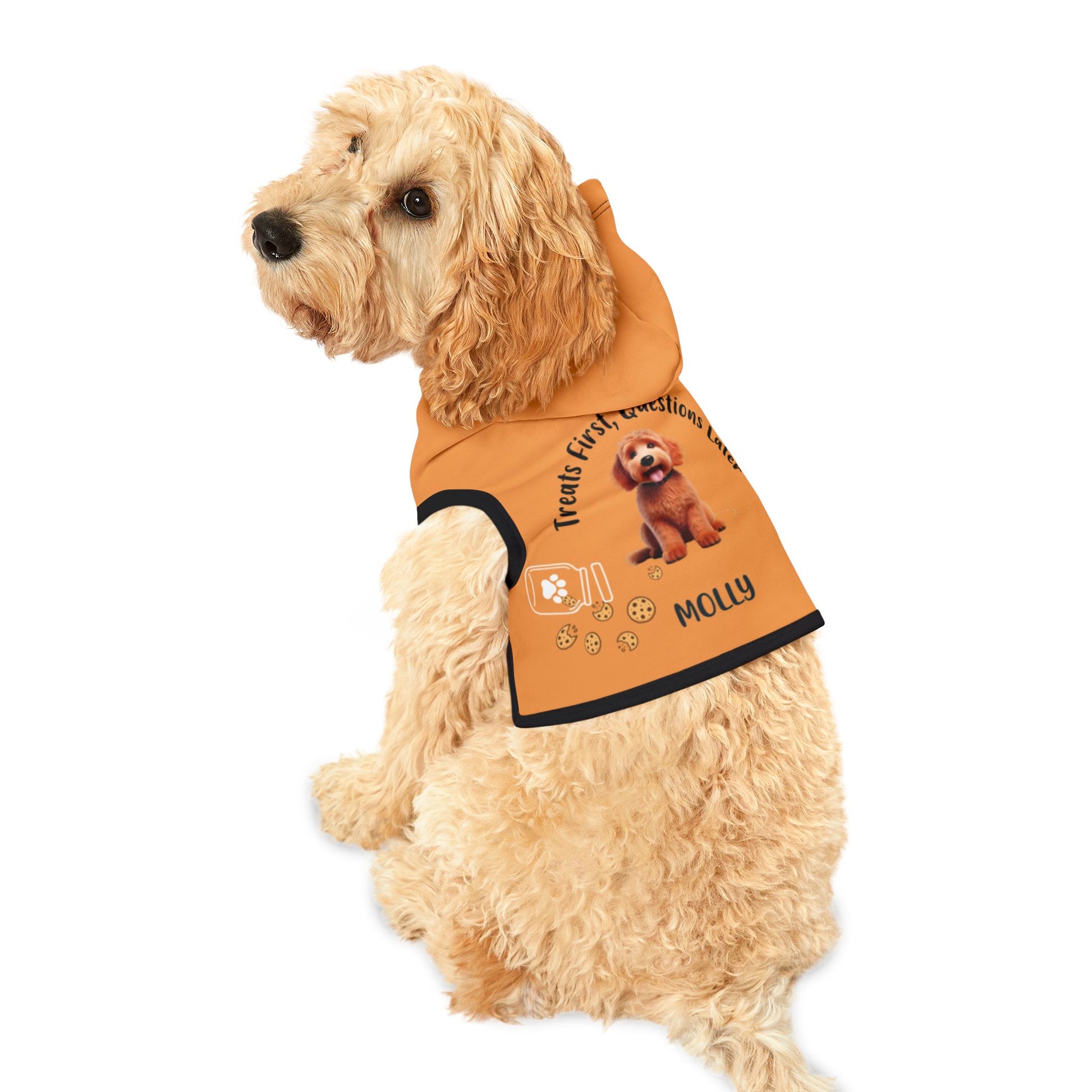 A dog wearing a custom orange dog hoodie with a name and breed image
