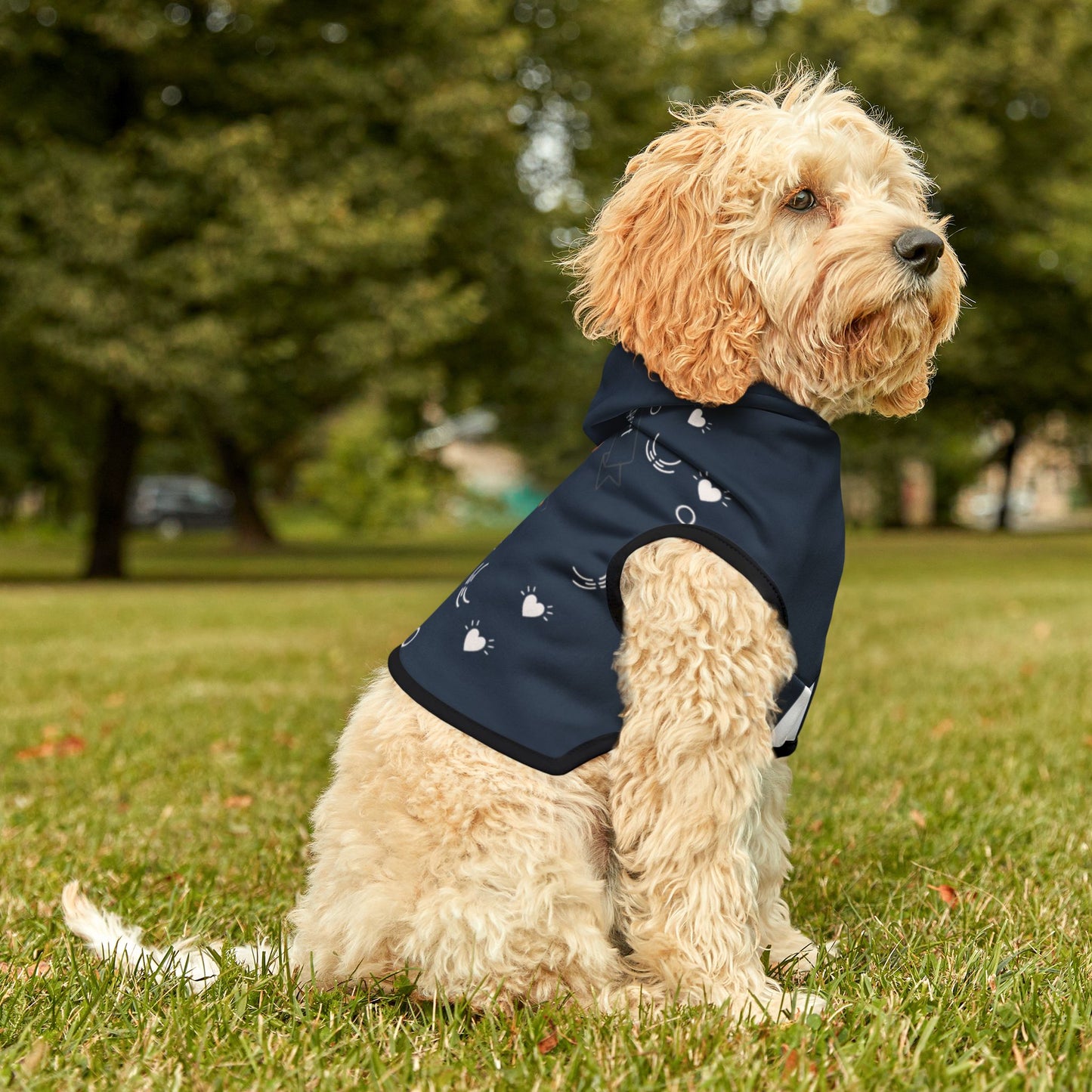 Dog wearing a navy hoodie with custom dog image and name with black trim sitting on grass