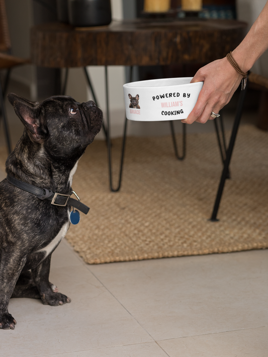 Dog looking at a custom bowl with its name and image on it